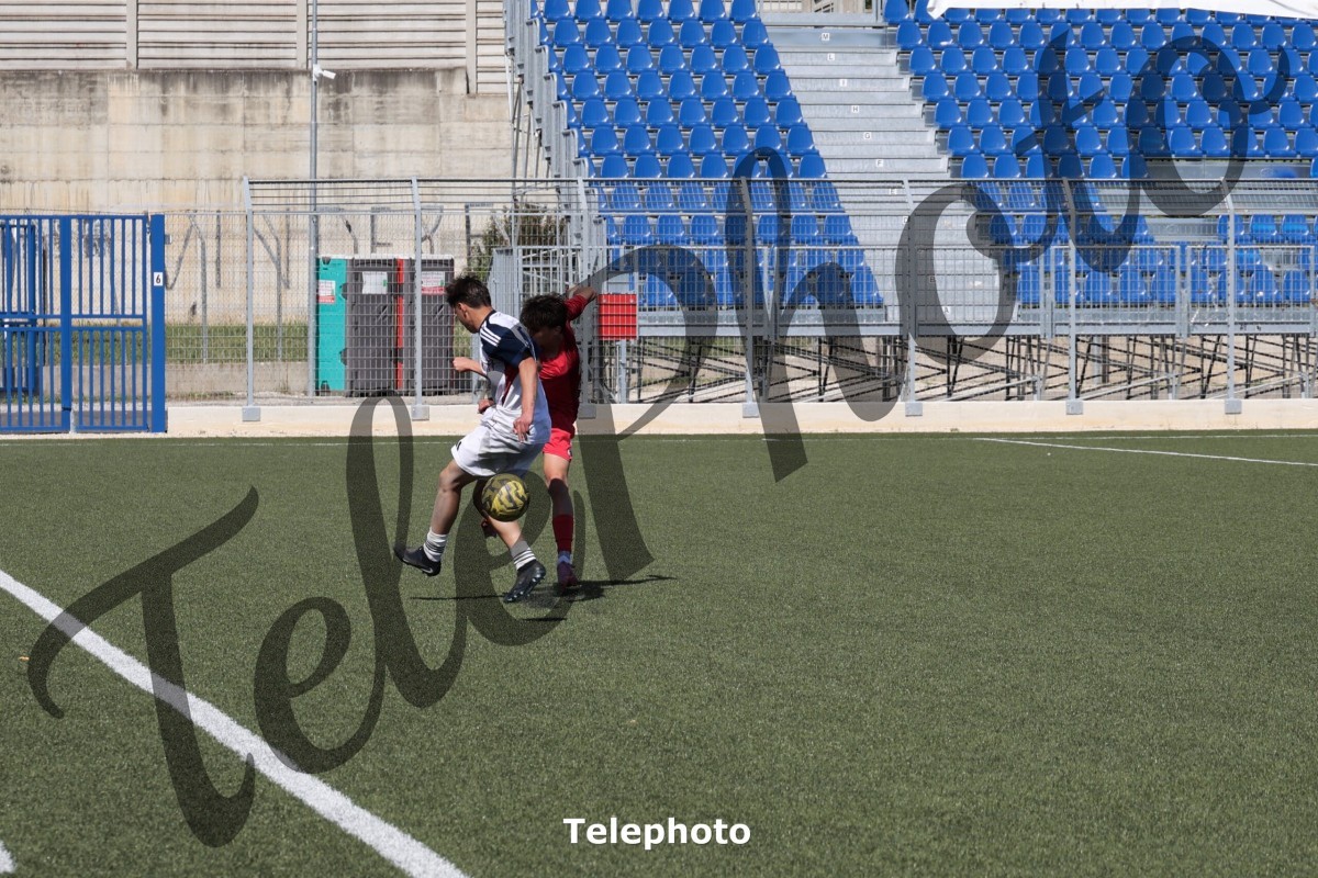 Telephoto_65
