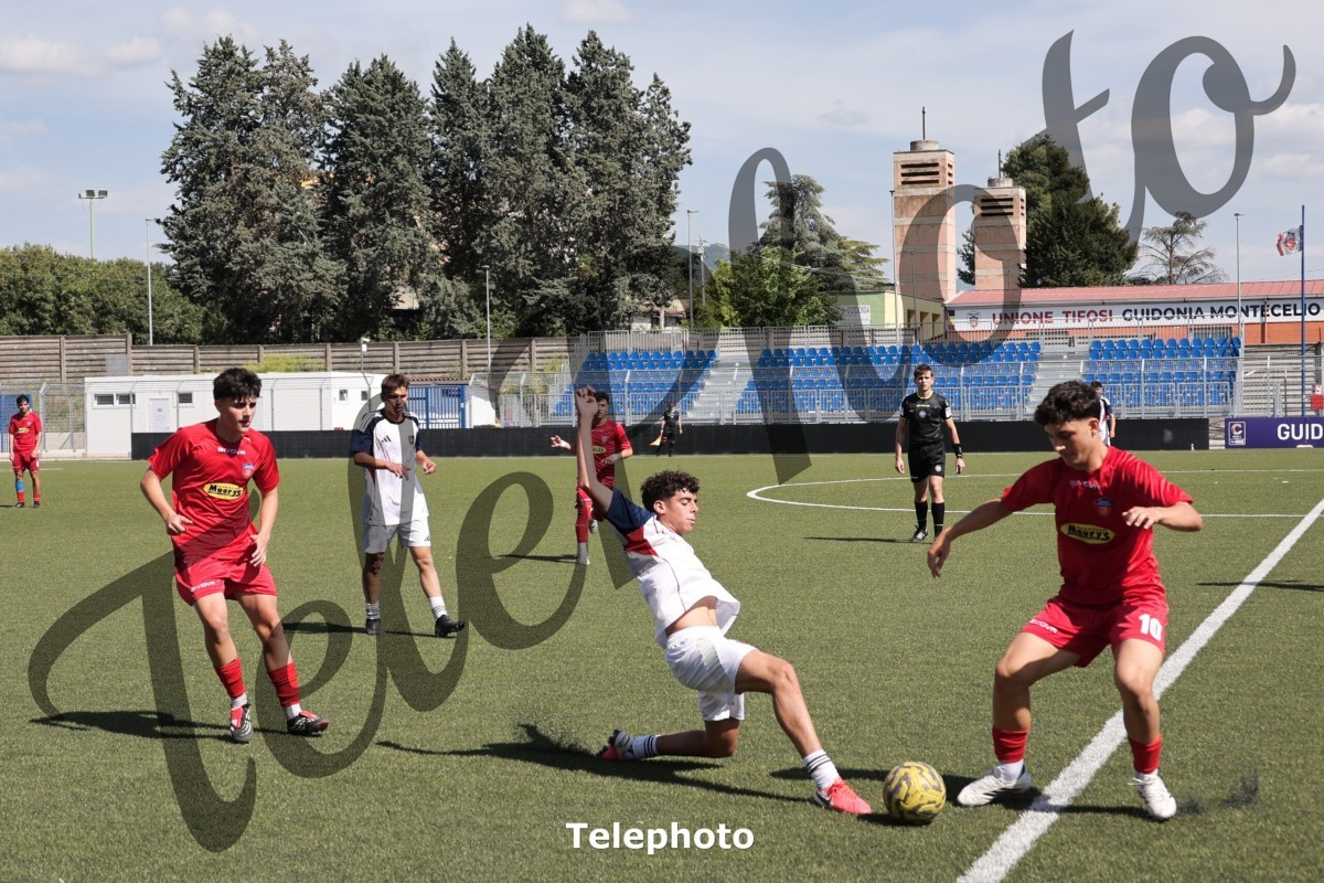 Telephoto_66