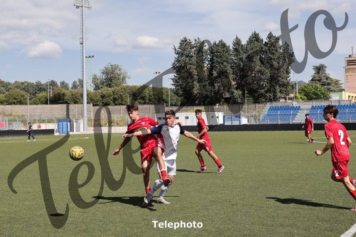 Telephoto_69