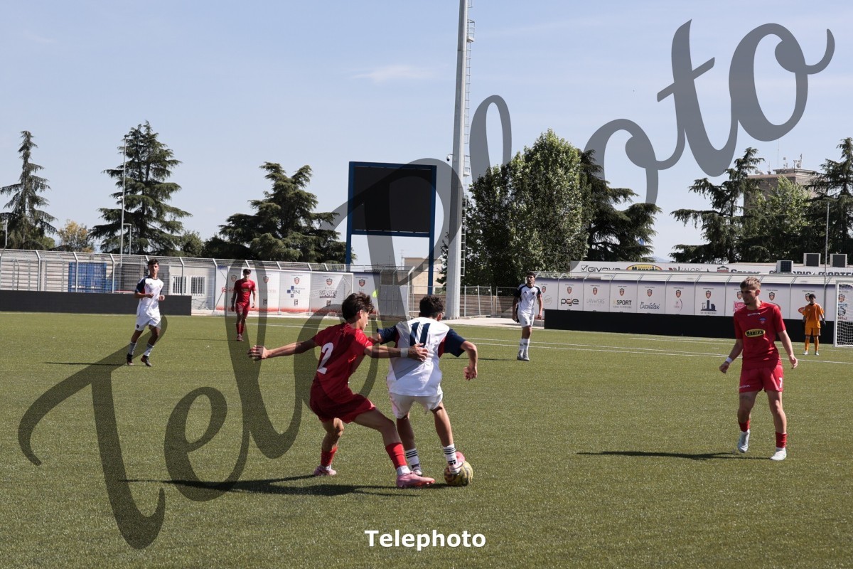 Telephoto_71