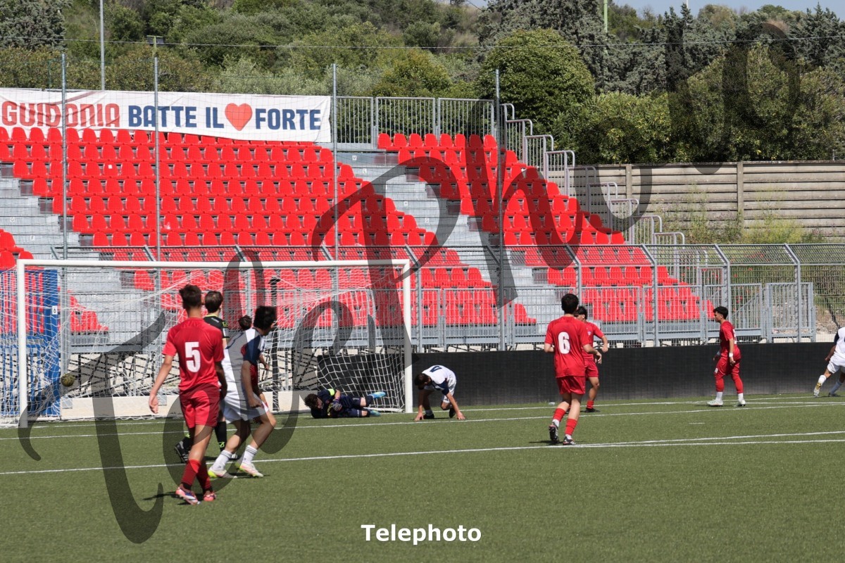 Telephoto_73