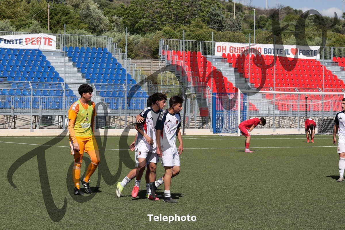 Telephoto_74