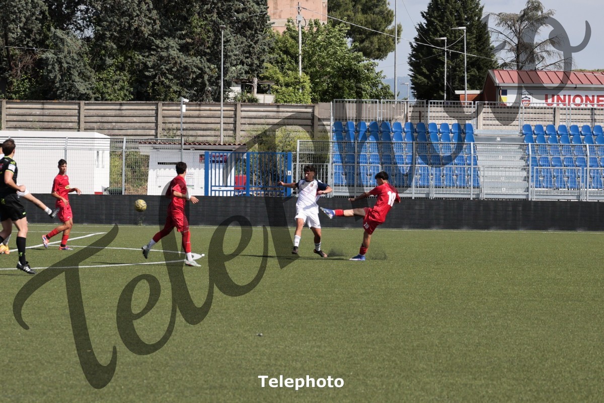 Telephoto_80