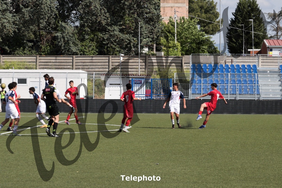 Telephoto_81