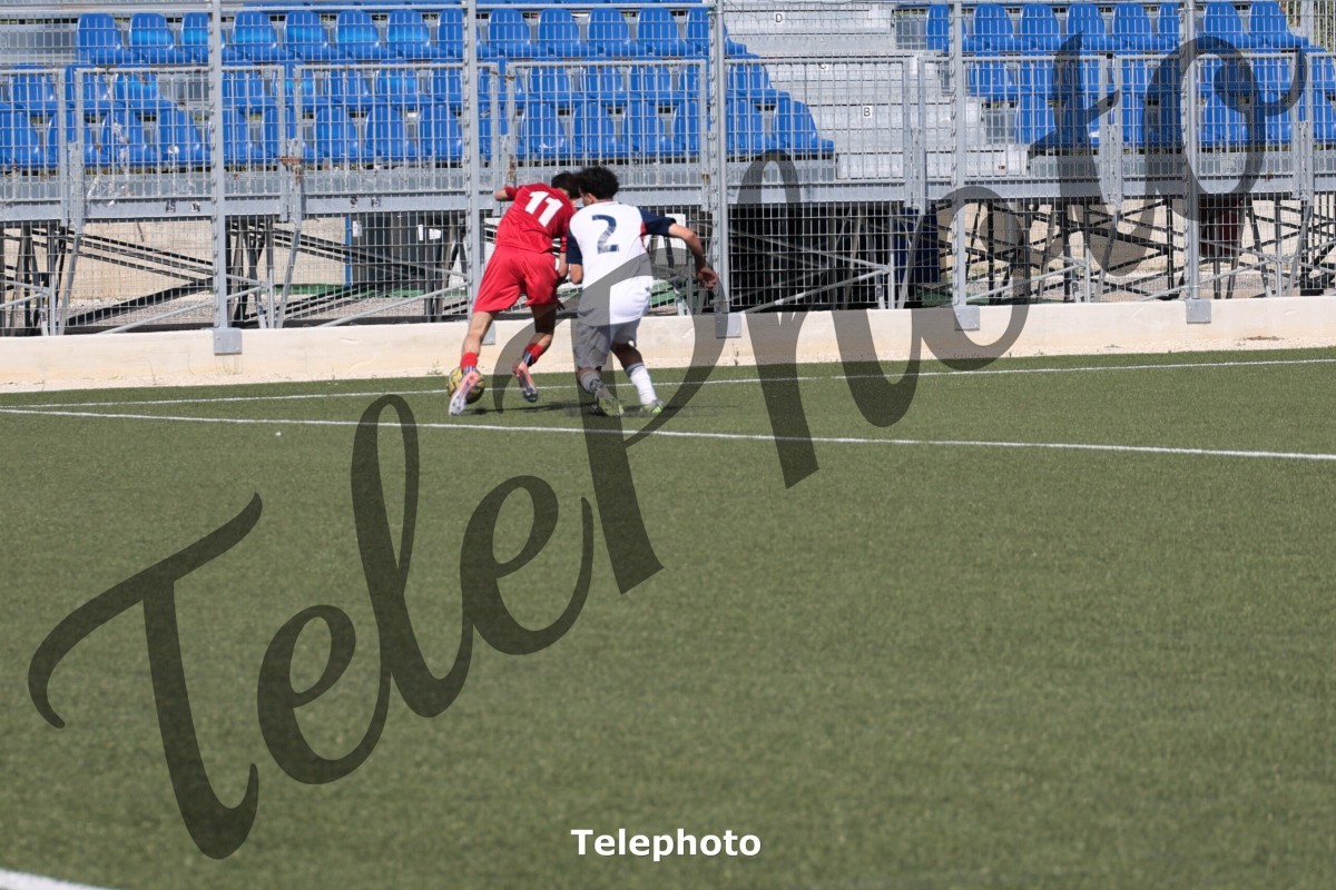 Telephoto_82