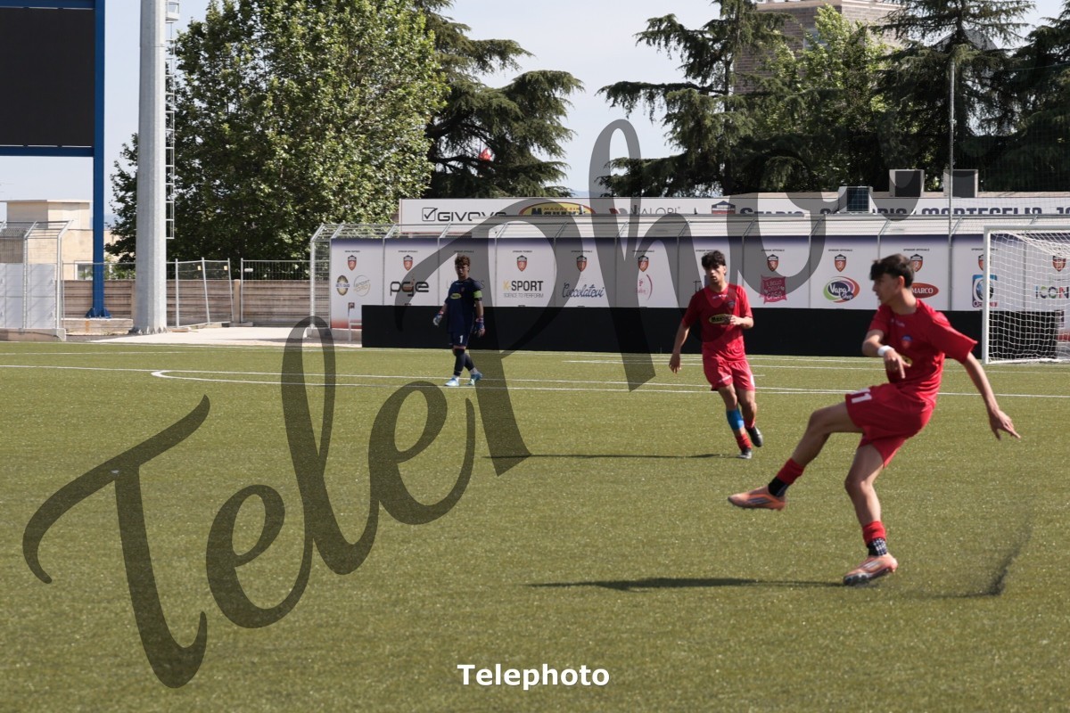 Telephoto_83