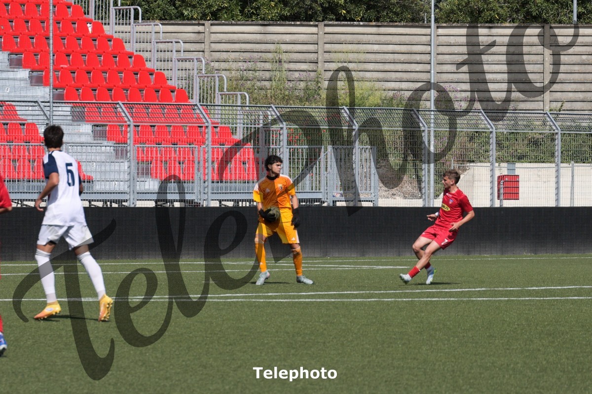Telephoto_84