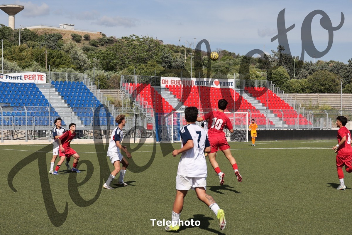 Telephoto_87