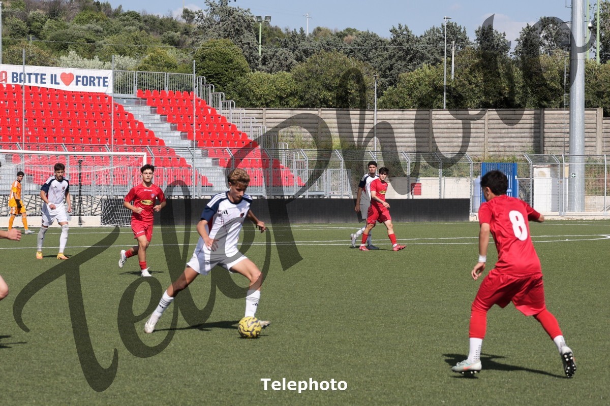 Telephoto_88