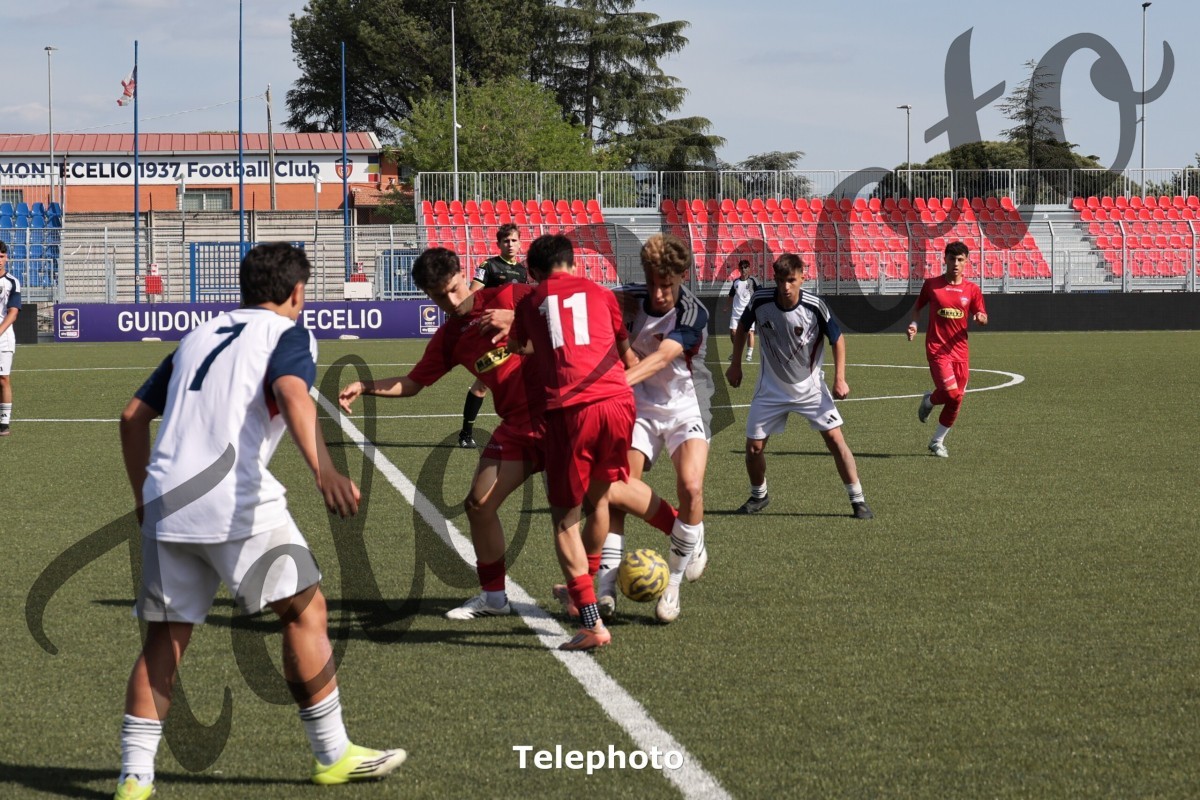 Telephoto_89