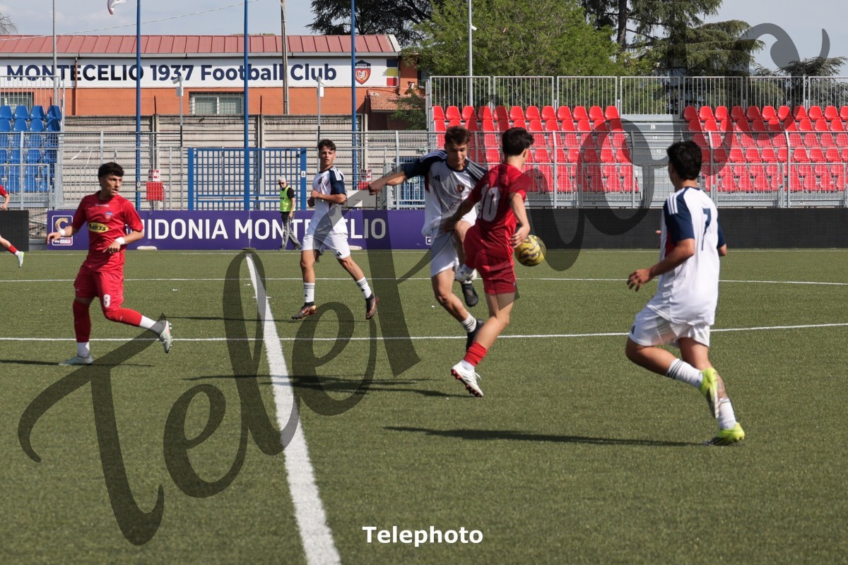 Telephoto_95