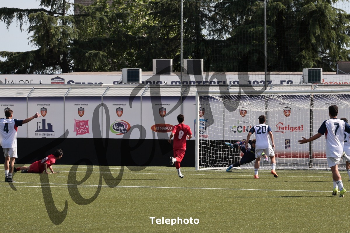 Telephoto_97