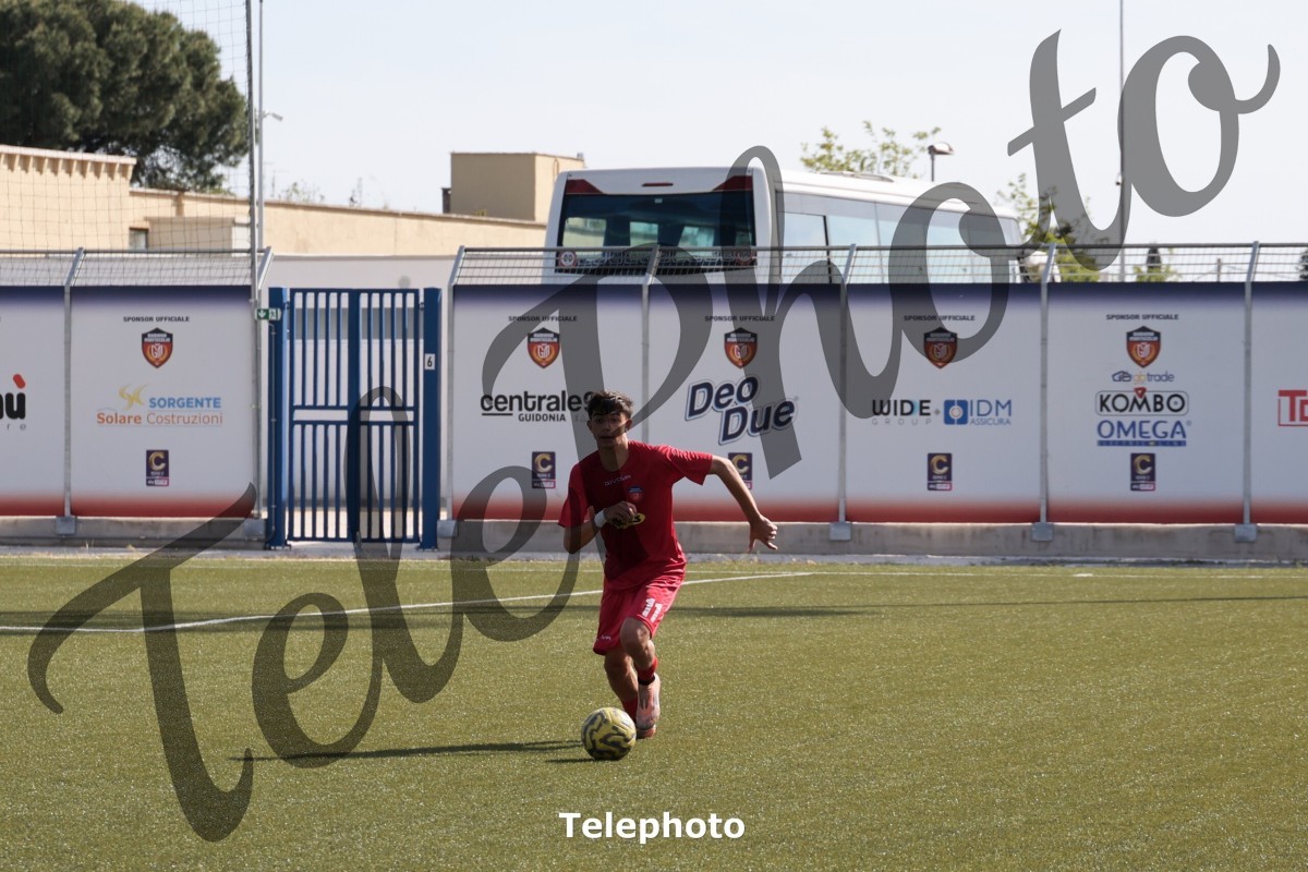 Telephoto_99