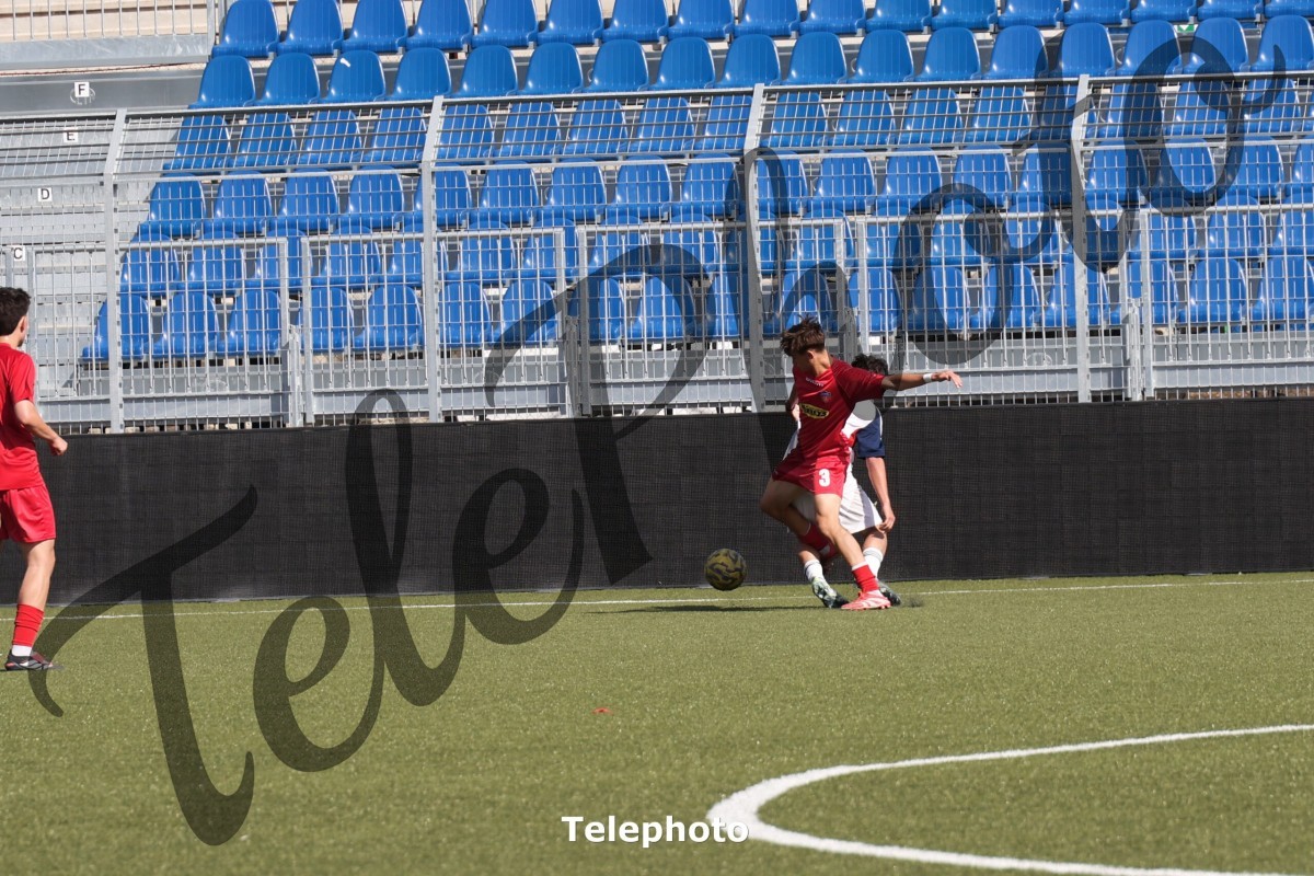 Telephoto_100