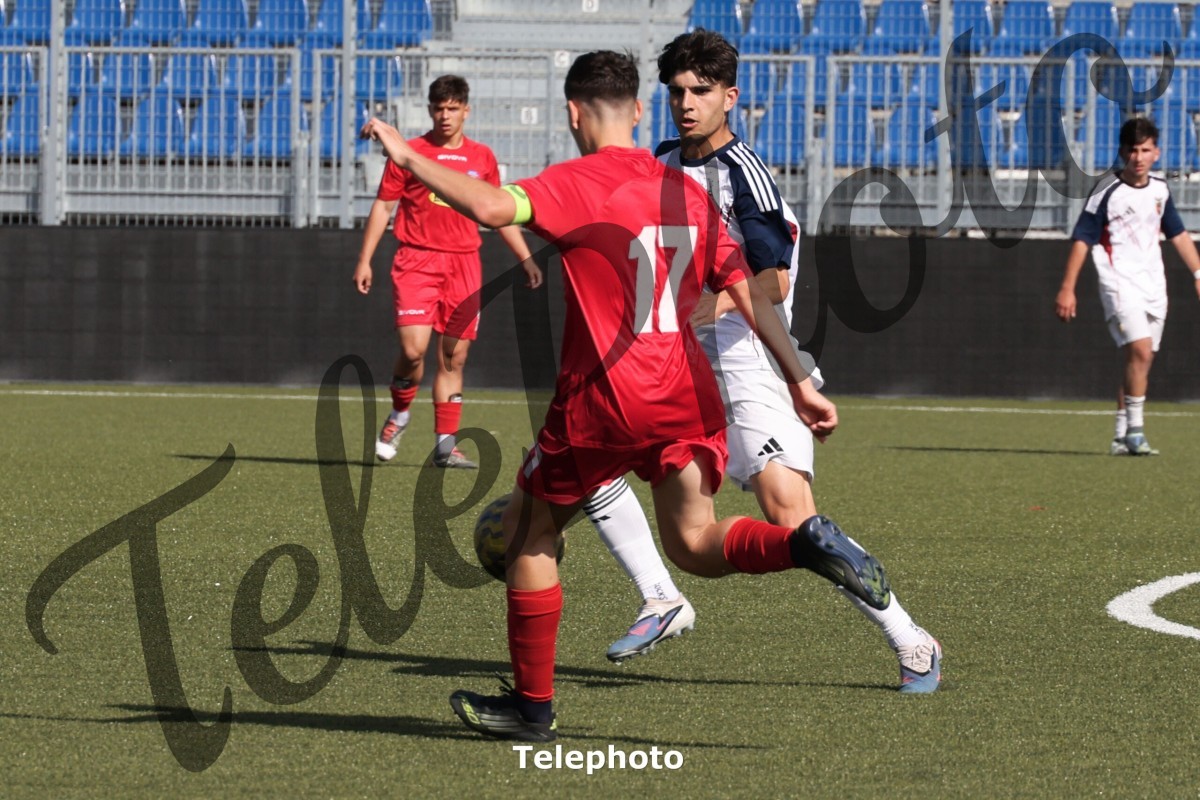 Telephoto_101