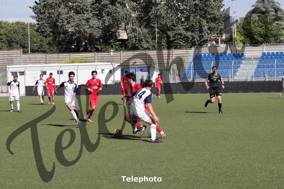 Telephoto_102