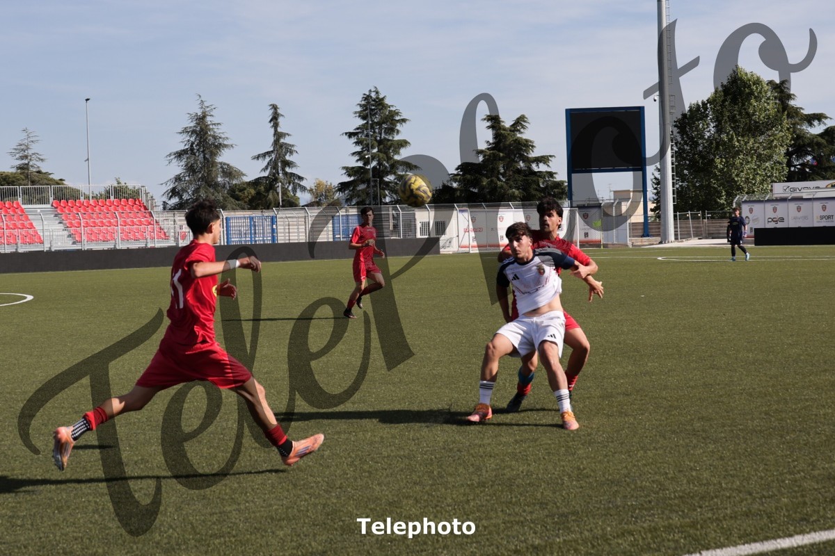 Telephoto_104