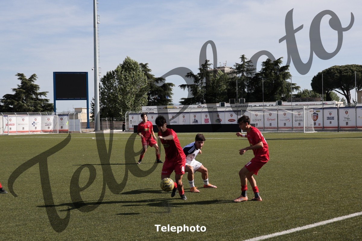 Telephoto_106