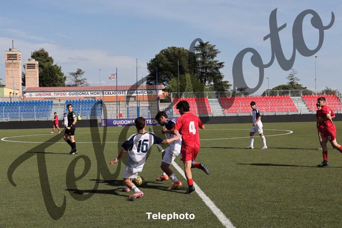 Telephoto_107