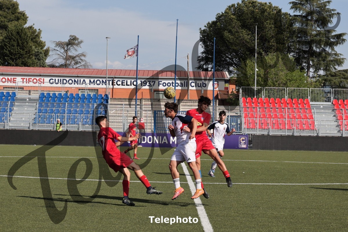 Telephoto_110