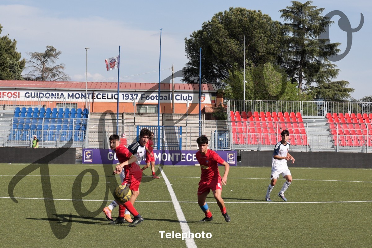 Telephoto_111